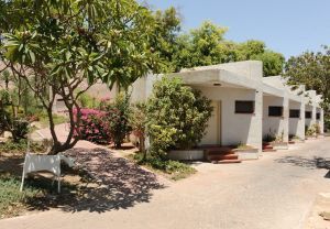כפר הנופש קליה: חוויית אירוח קיבוצית בין ים למדבר